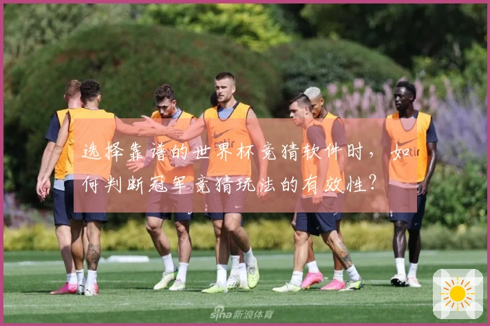 选择靠谱的世界杯竞猜软件时，如何判断冠军竞猜玩法的有效性？
