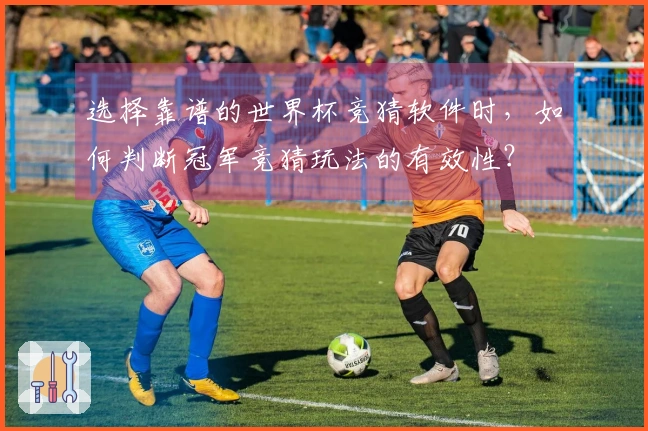 选择靠谱的世界杯竞猜软件时，如何判断冠军竞猜玩法的有效性？