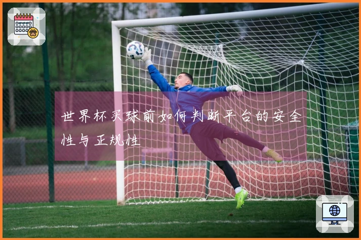 世界杯买球前如何判断平台的安全性与正规性